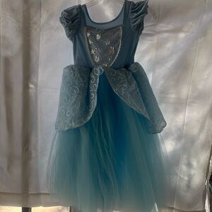 Cinderella Costume